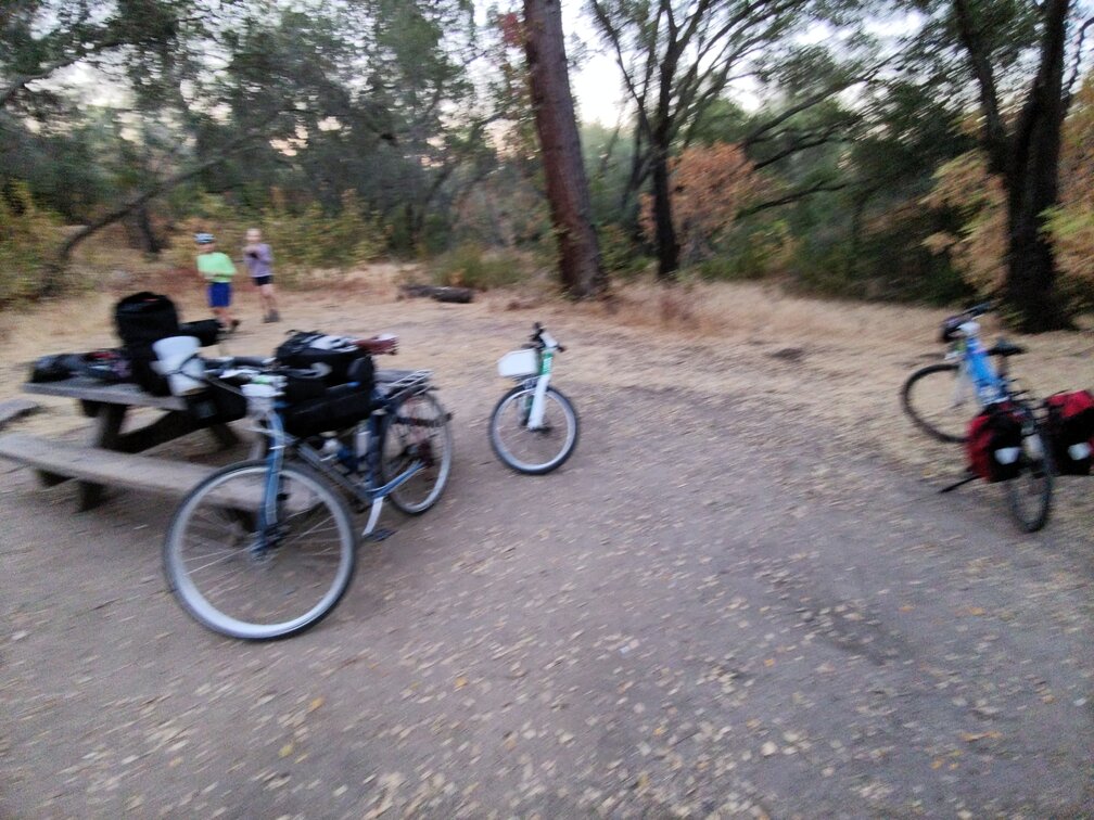 Slightly blurry image of bikes and kids in Beals Point Campground.